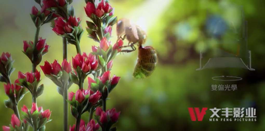 1-220525213036240.jpg 1-220525213036240.jpg