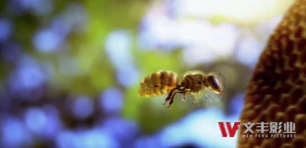 1-22061G95025464.jpg 1-22061G95025464.jpg