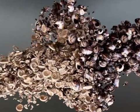 三维动画制作的价格因地区而异吗? 三维动画制作的价格因地区而异吗?