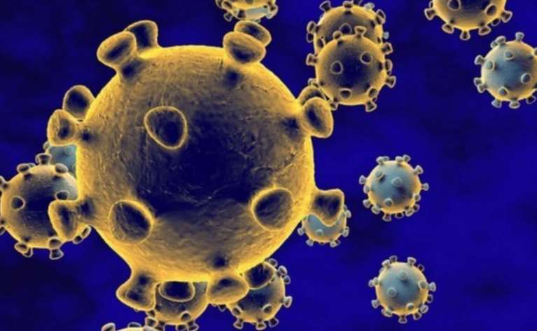 冠状病毒三维立体动画展示效果图