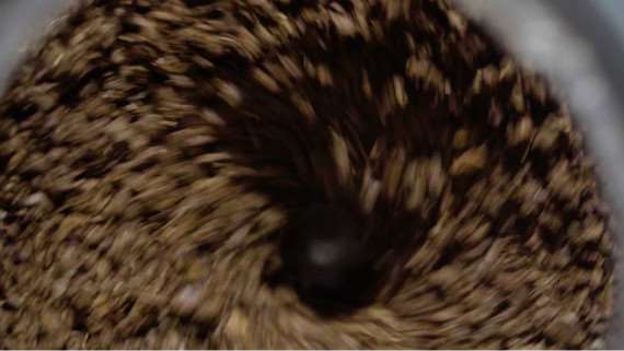 悠悠电器榨汁机-榨出营养喝出健康(图5)